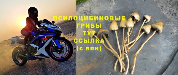 гашиш Вяземский